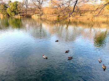 公園のイメージ