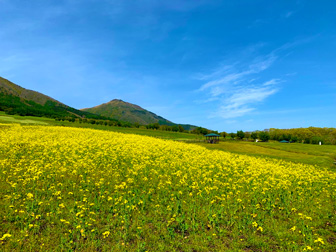 高原イメージ
